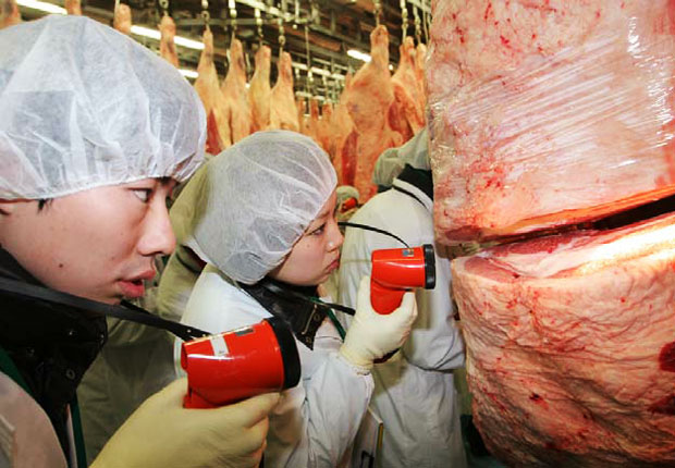 Students inspect a carcass at the Intercollegiate Meat Judging competition (photo: Kate Neath)